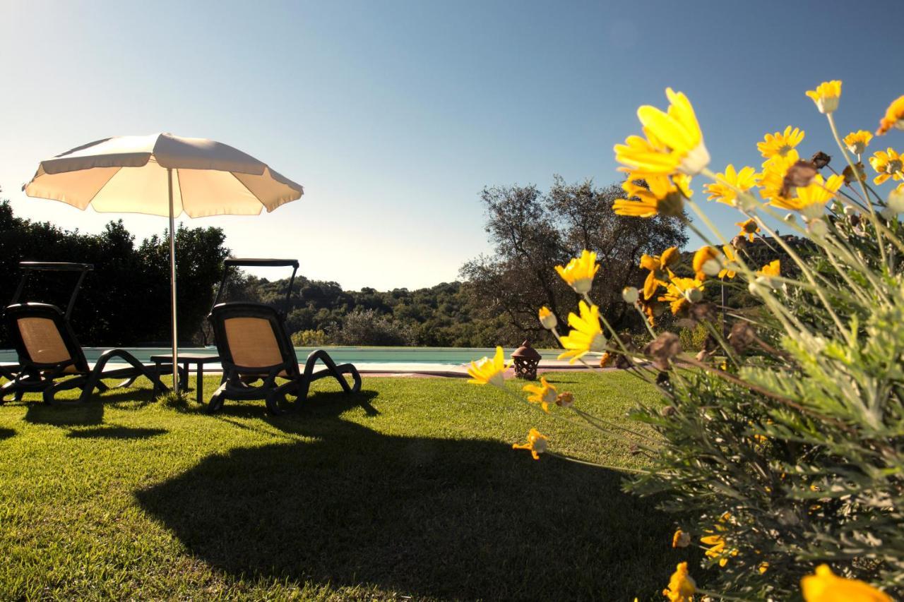 Poggio Sasseta Villa Montiano  Eksteriør bilde